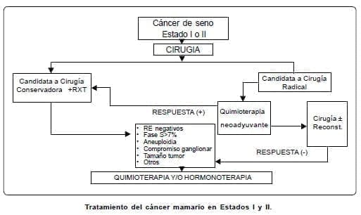 Tratamiento del cáncer mamario en Estados I y II