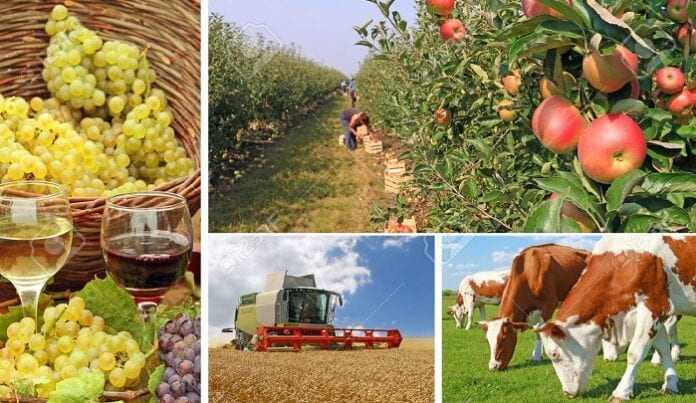 Empresas Agropecuarias
