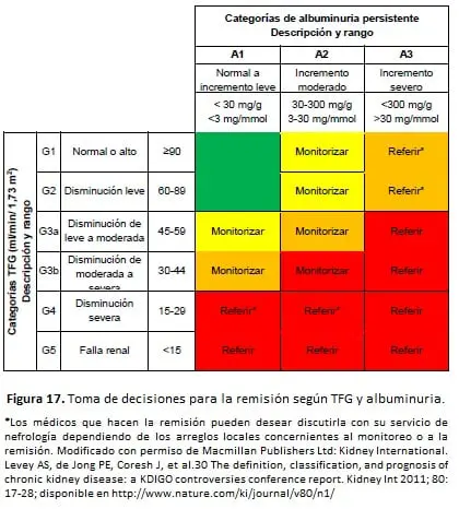 TFG y de la albuminuria para reflejar el riesgo de progresión por intensidad de color