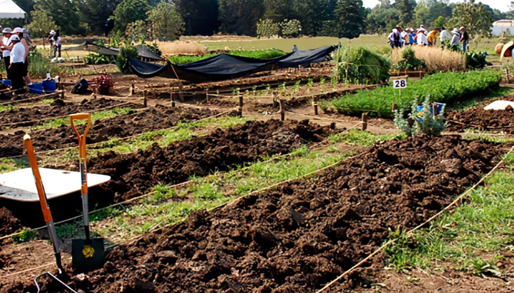 Agricultura Biointensiva