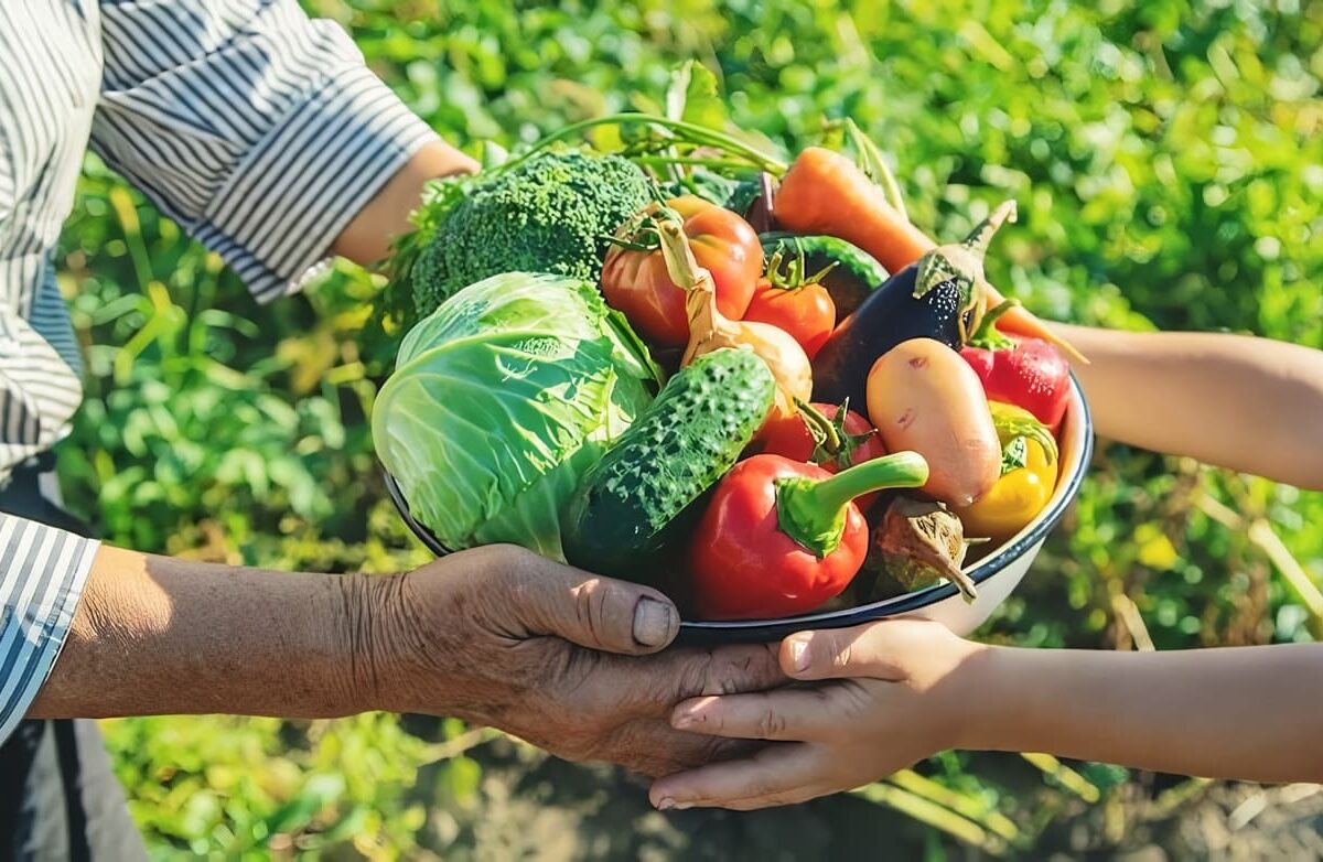 Agricultura de Subsistencia