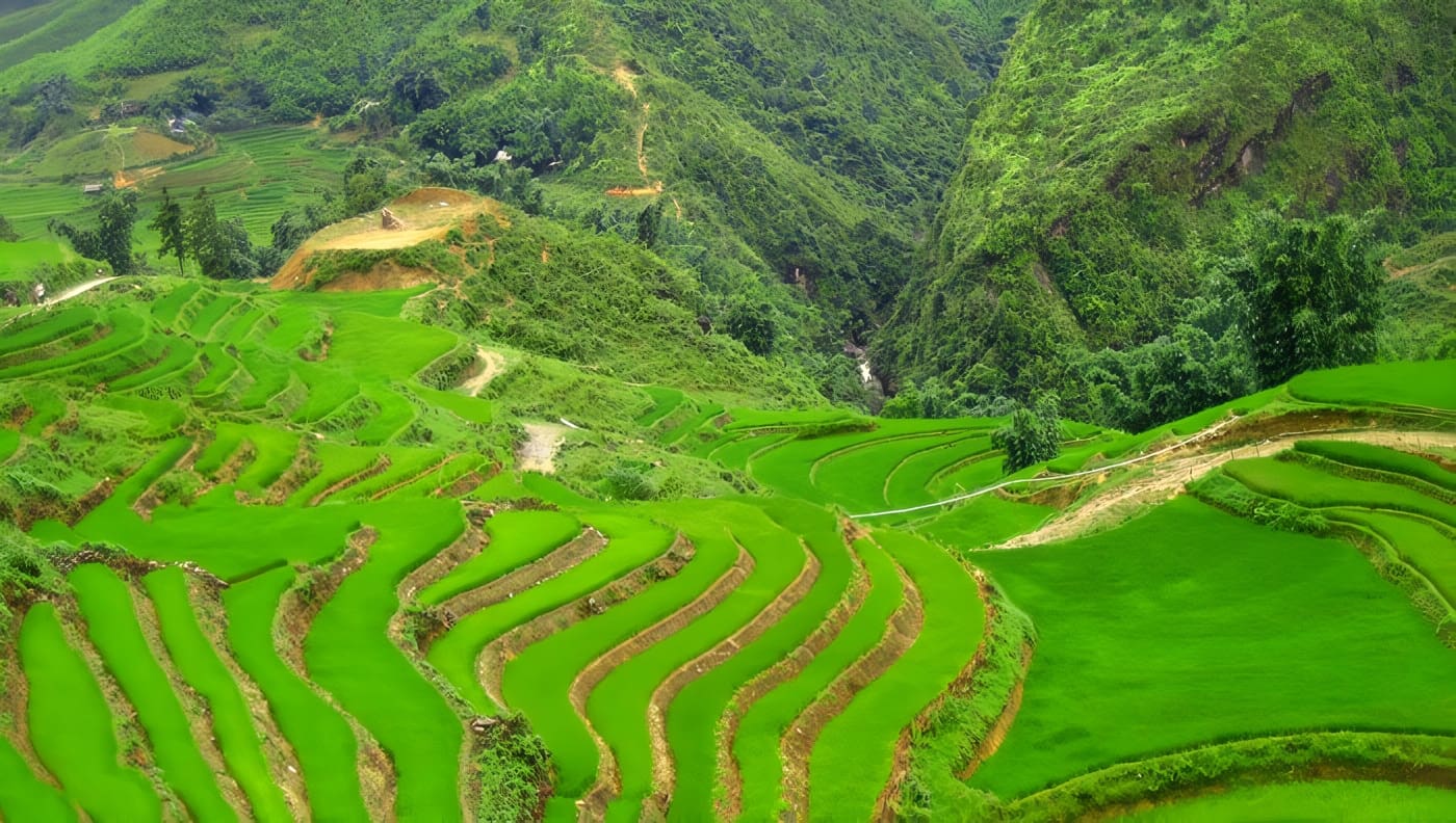 Agricultura irrigada