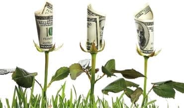 Economía ecológica