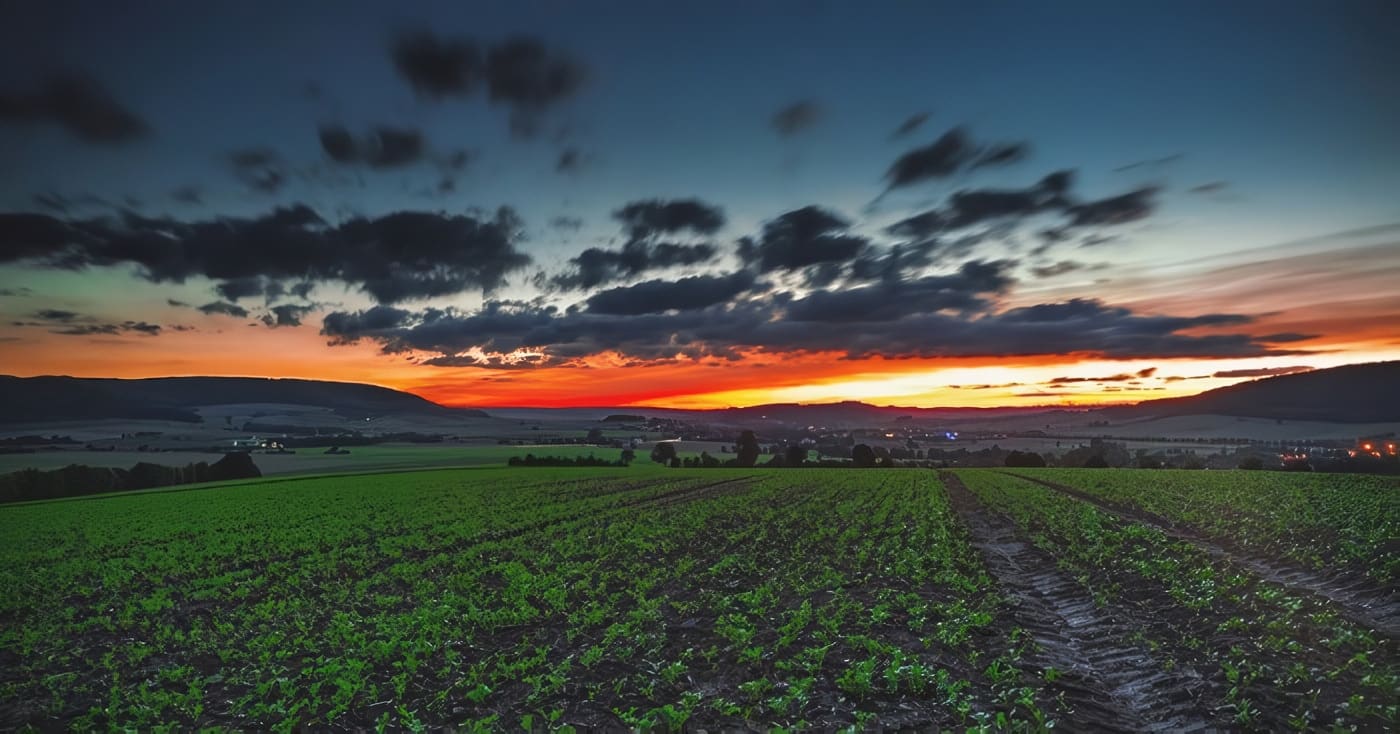 Agricultura Sensitiva