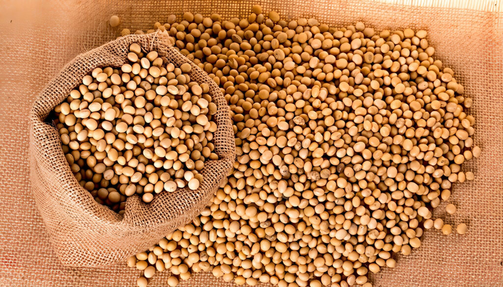 Beneficios de la Semilla de Soja