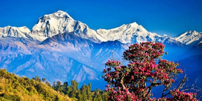 Geografía de Nepal