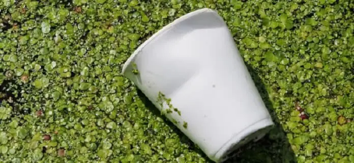 Plástico biodegradable