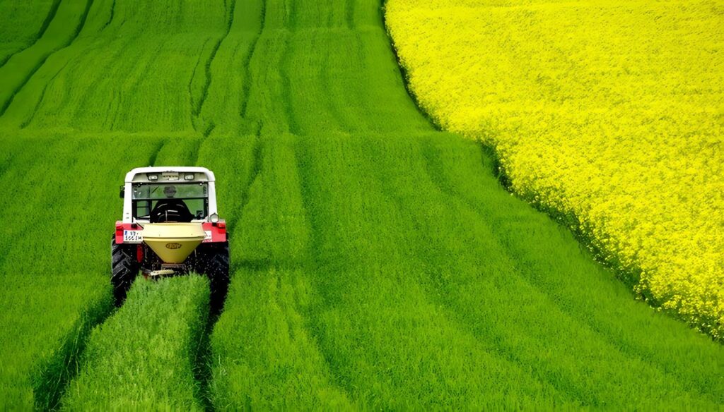 Producción Agrícola
