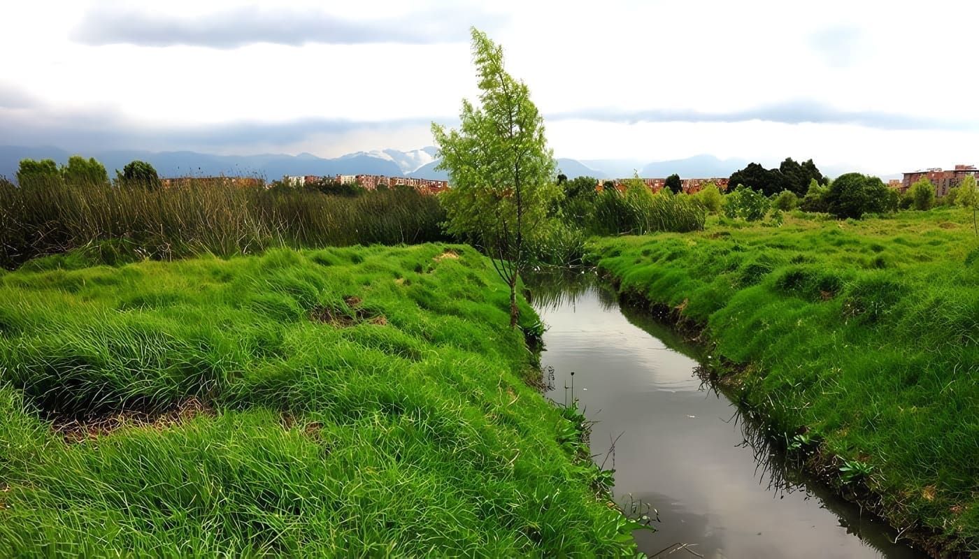 Humedales de Bogotá