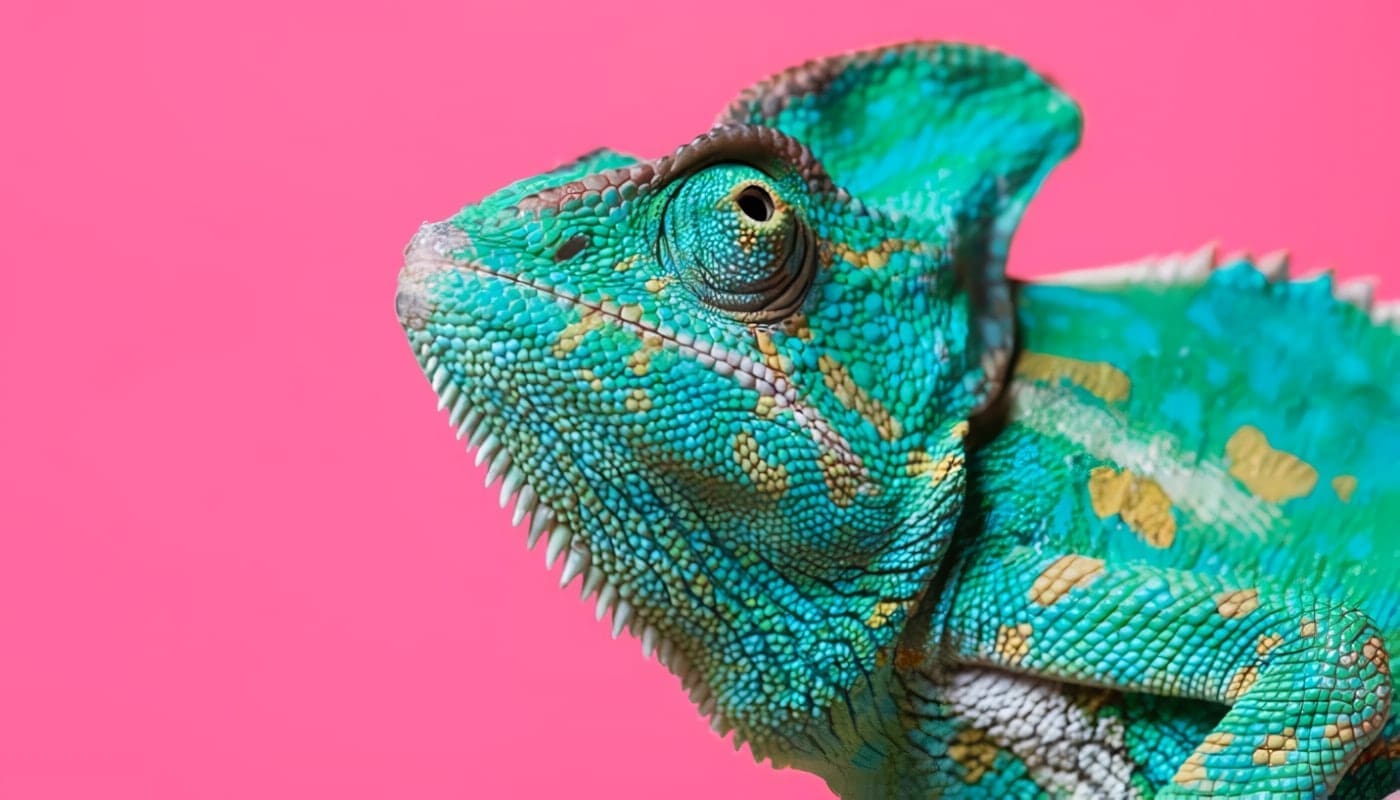 Noticias del Medio Ambiente