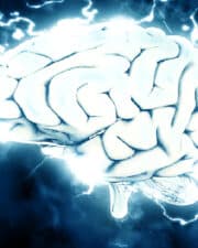 Cerebro, Mente y Estrés