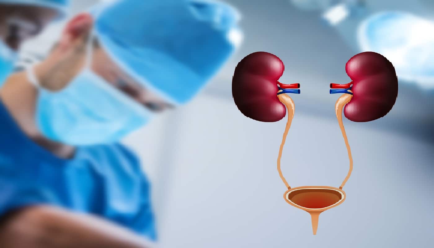 Urología. XV-3