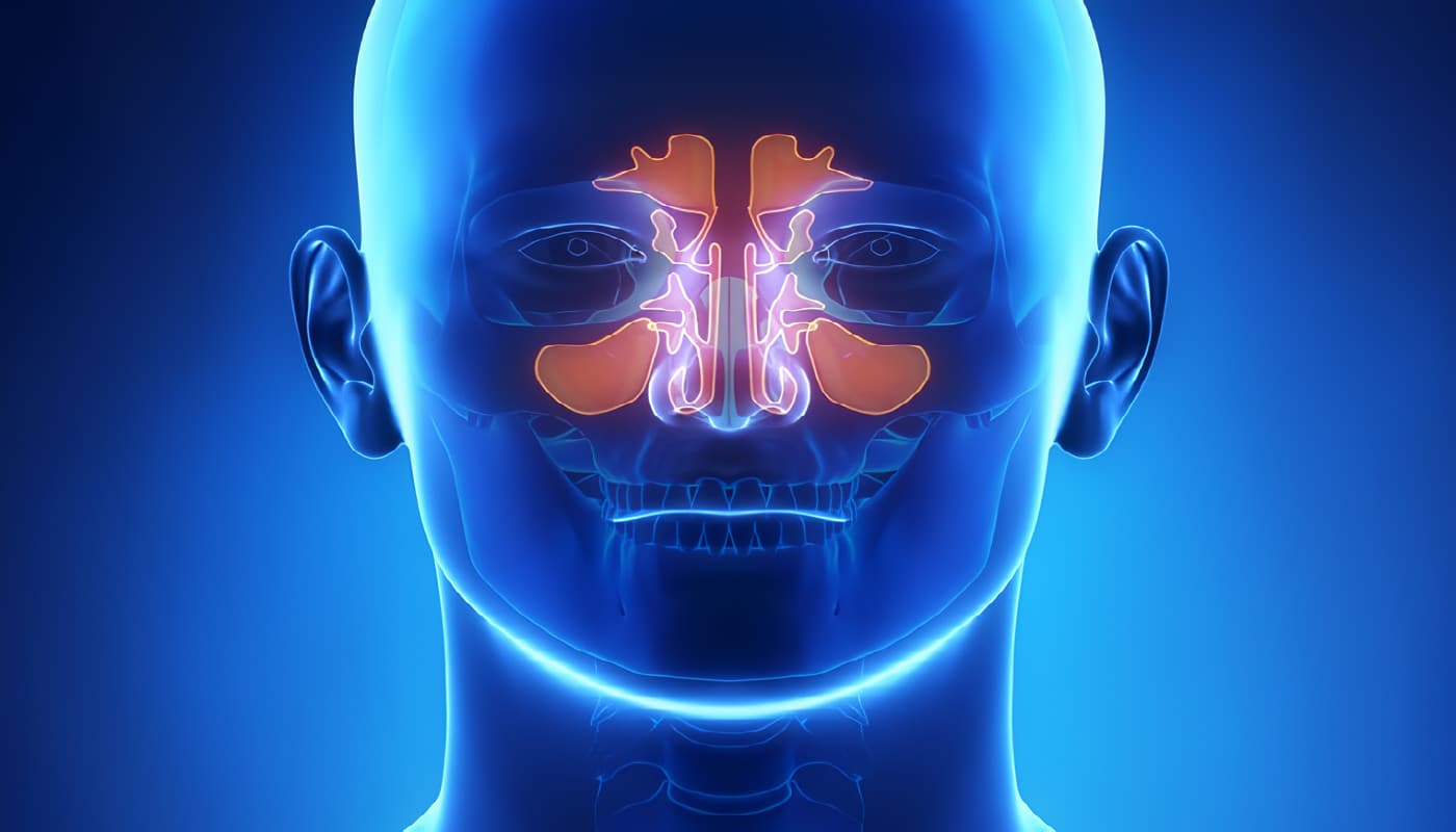 Otorrinolaringología y Cirugía de Cabeza y Cuello