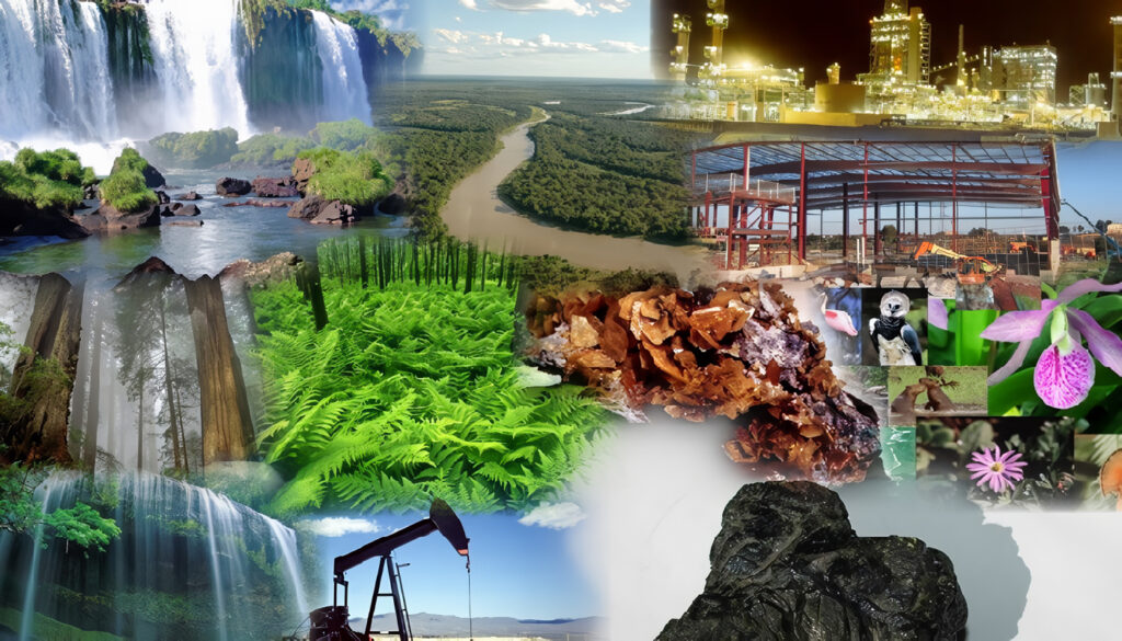 Valoración Económica Ambiental