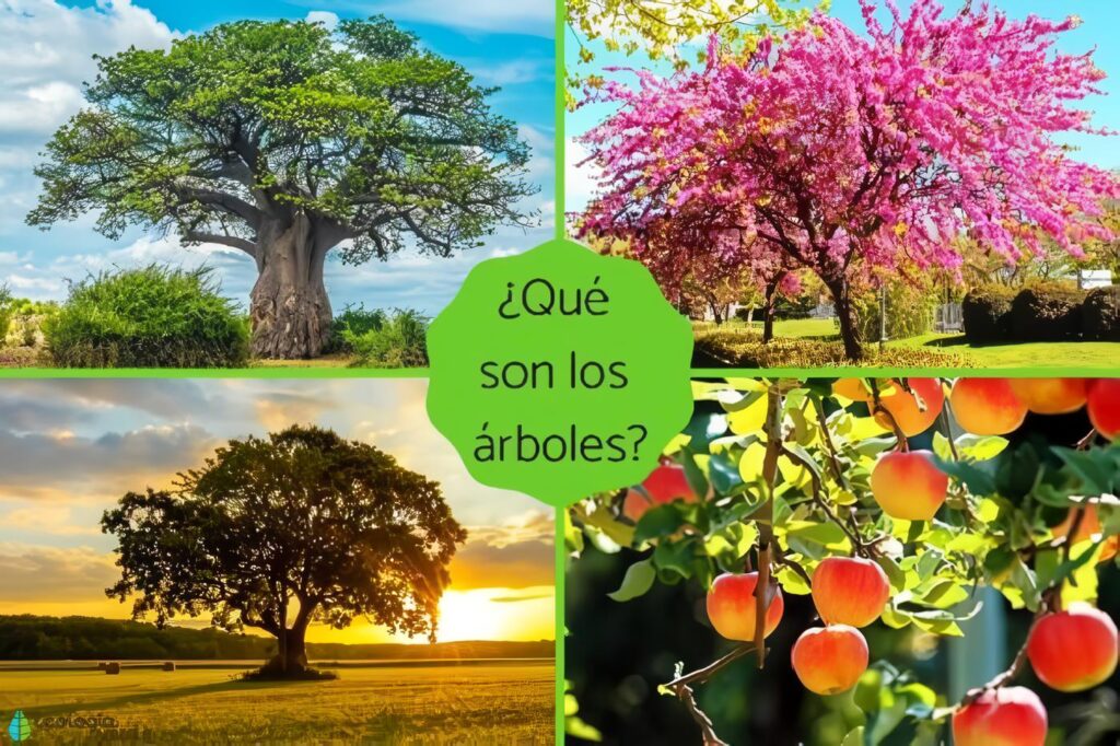 Qué son los Árboles