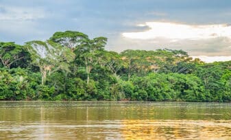 Amazonía Colombiana