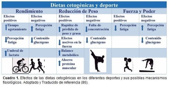 Ejercicio anaeróbico: beneficios y tipos - Blog SaludOnNet