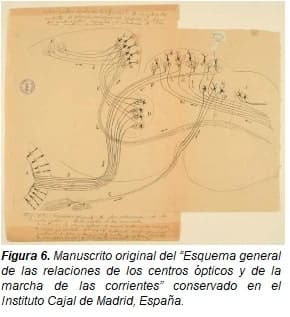 Manuscrito original del “Esquema general de las relaciones de los centros ópticos y de la marcha de las corrientes”