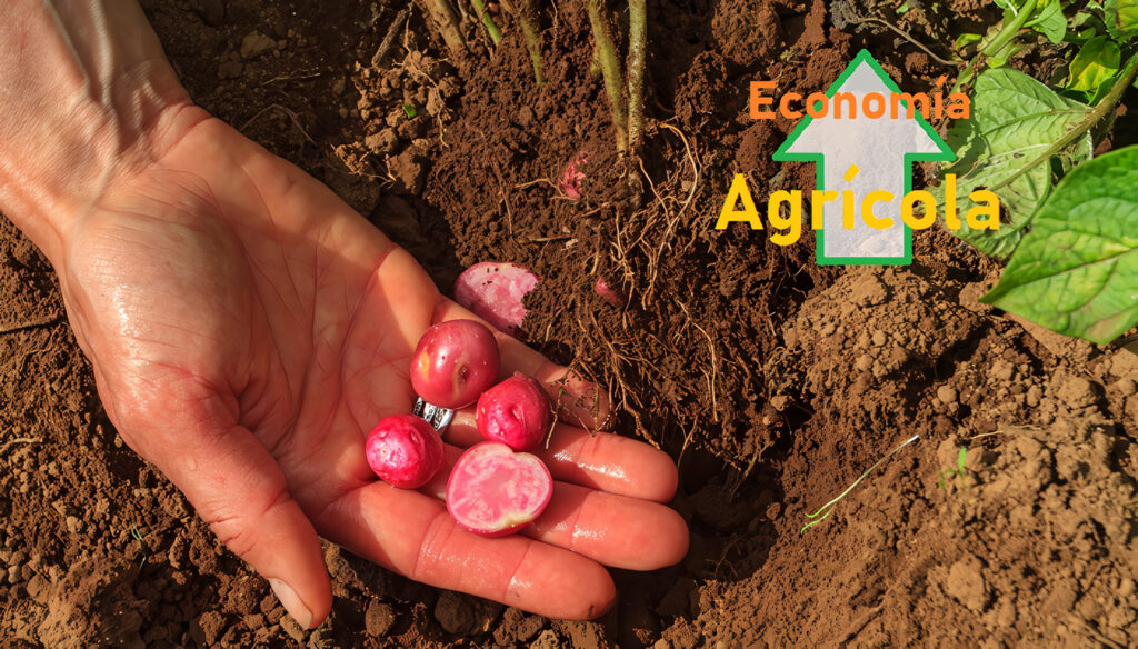 Economía Agrícola