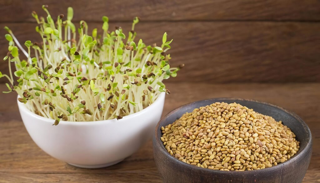 Cultivo de Alfalfa: de la siembra a la cosecha