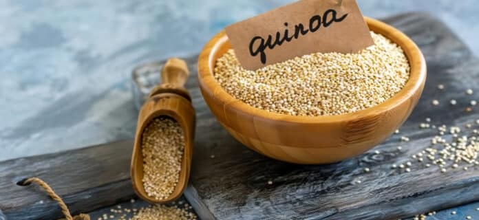 Cultivo de Quinoa