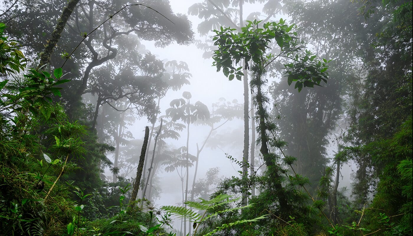 Ecosistemas Terrestres en Colombia