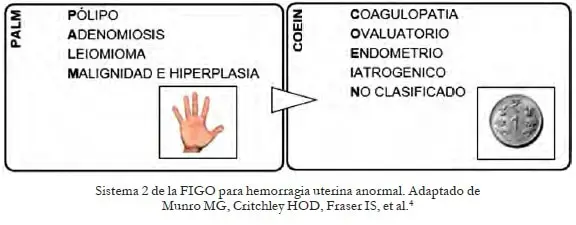 Sistema 2 de la FIGO para hemorragia uterina anormal