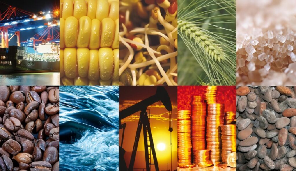 Productos semielaborados: qué son, ejemplos y características
