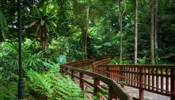 Qué son las Reservas Naturales