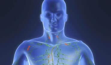 Sistema Linfático del Cuerpo Humano