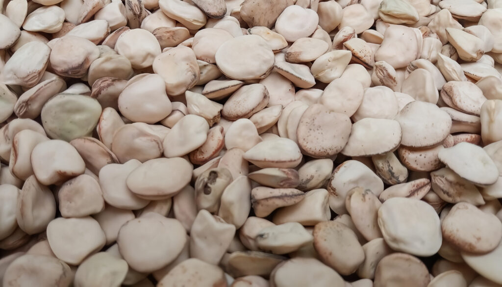 Cultivo de Almorta: guía para la producción, siembra y cosecha