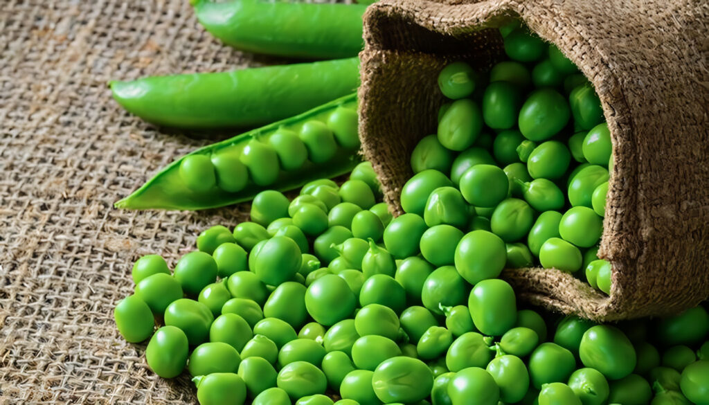 Cultivo de Arveja: guía sobre cómo sembrar y cultivar