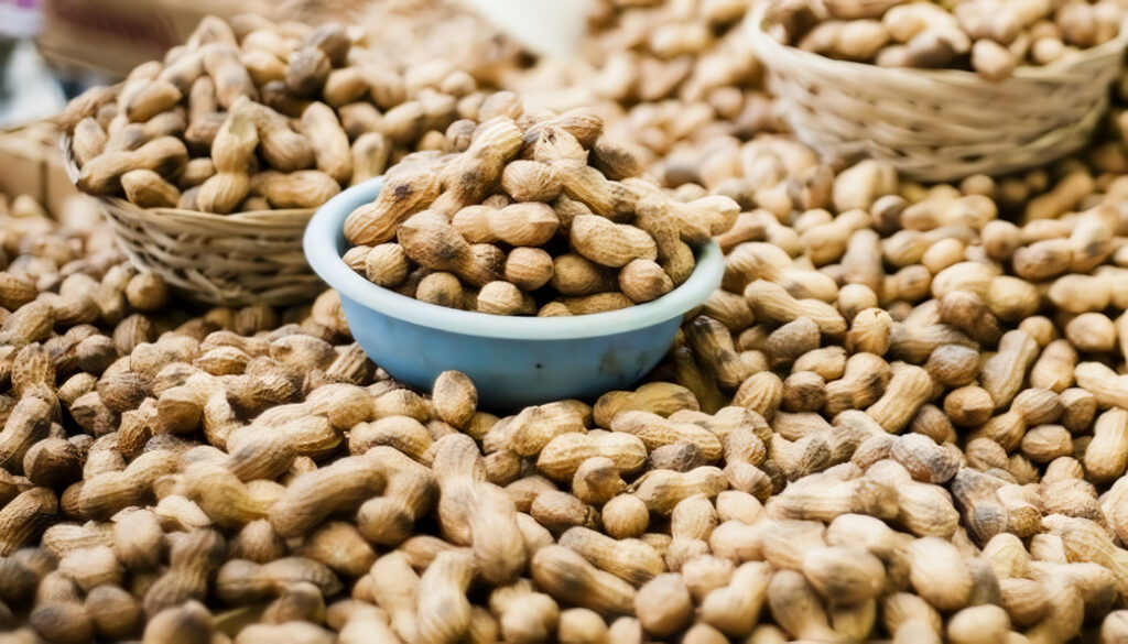 Cultivo de Maní: guía sobre su proceso agrícola