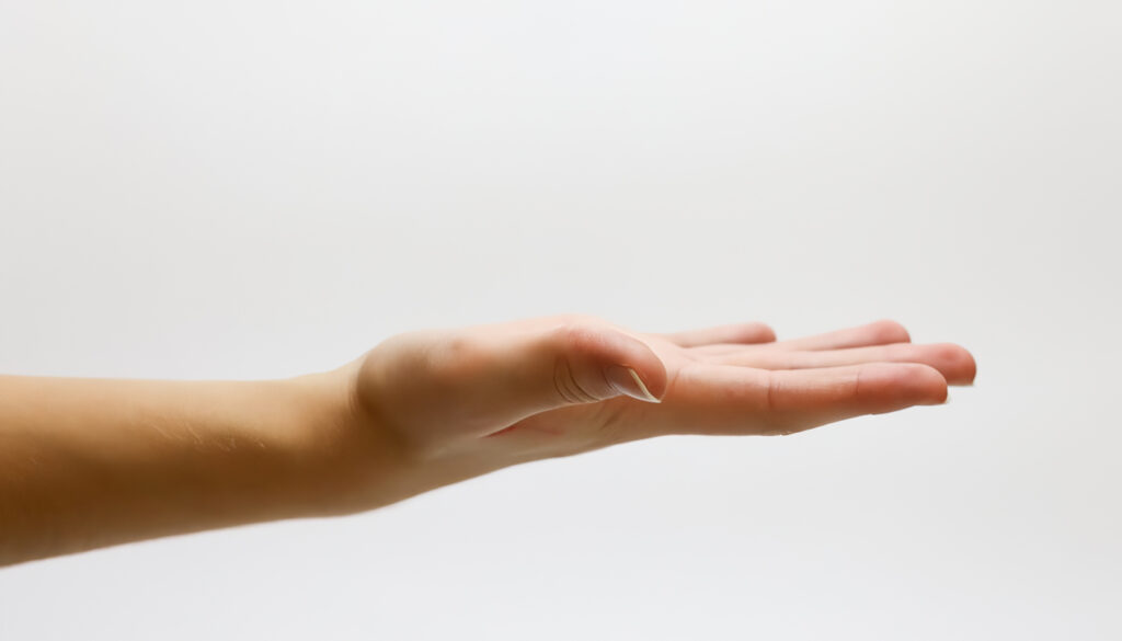 Sistema Tegumentario del Cuerpo Humano