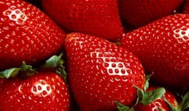 Frutos Agregados