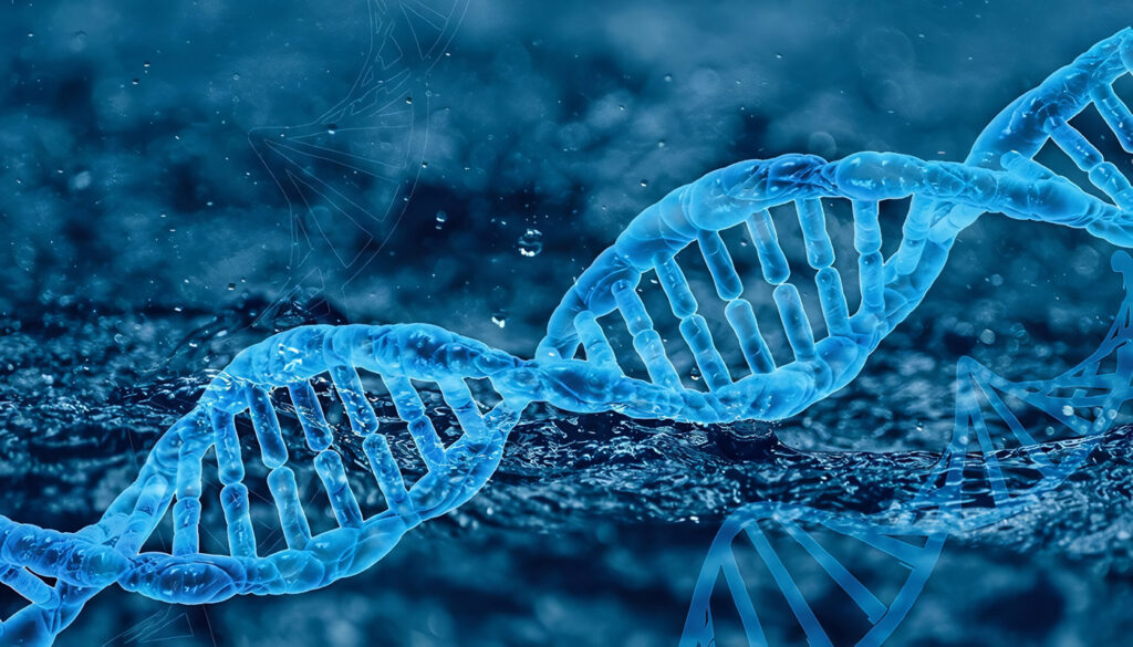 Genes y Genética