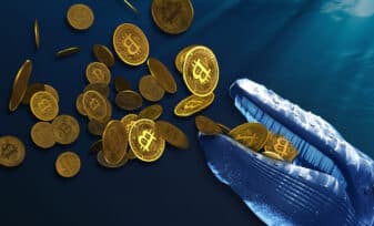 las Ballenas controlan el Mercado de las Criptomonedas