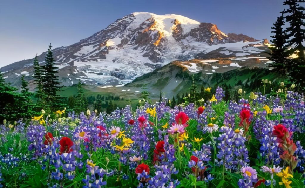 Qué es un paisaje natural y sus características