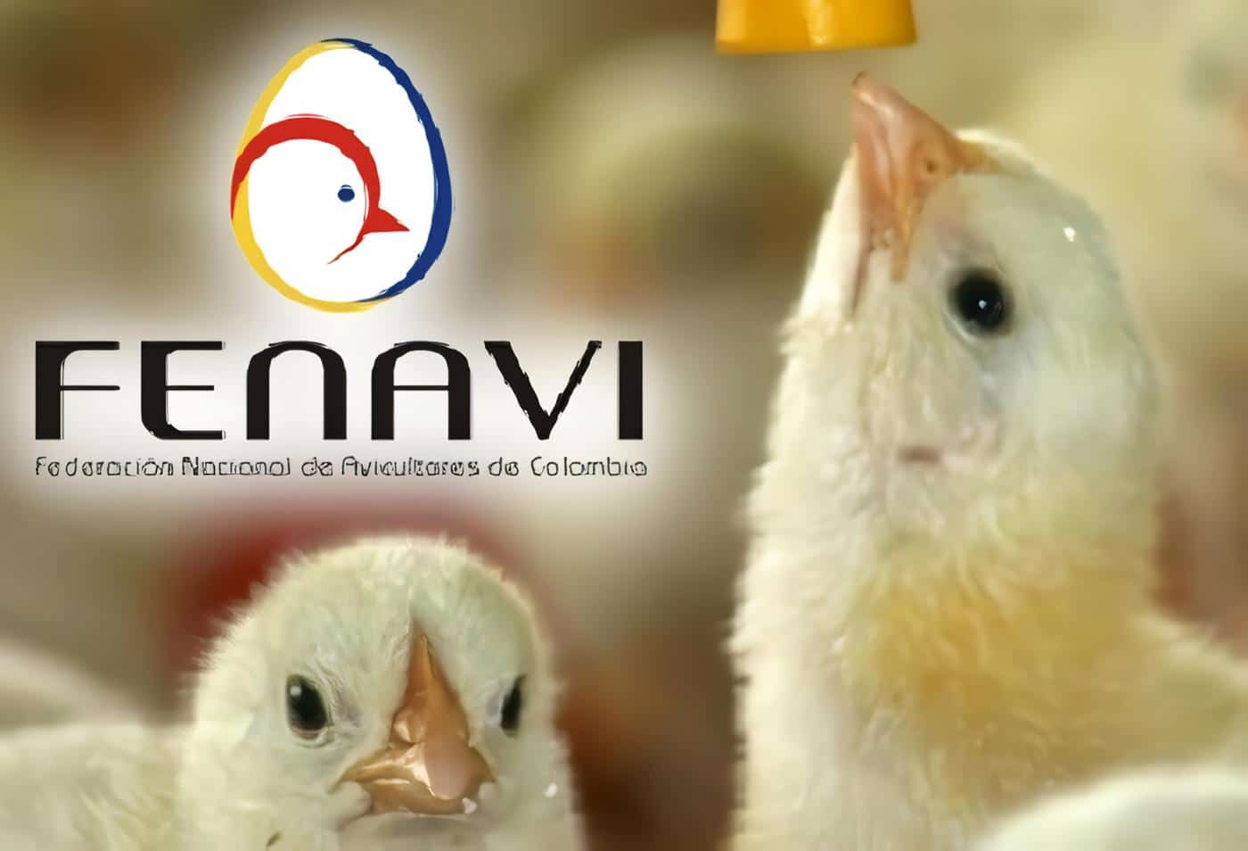 revista fenavi