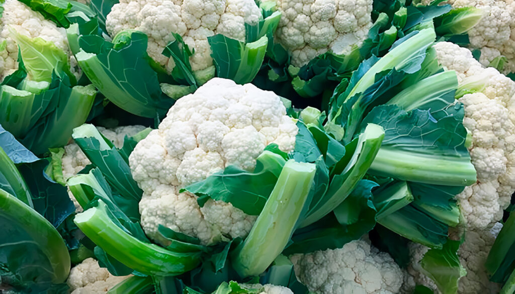 Coliflor cultivo