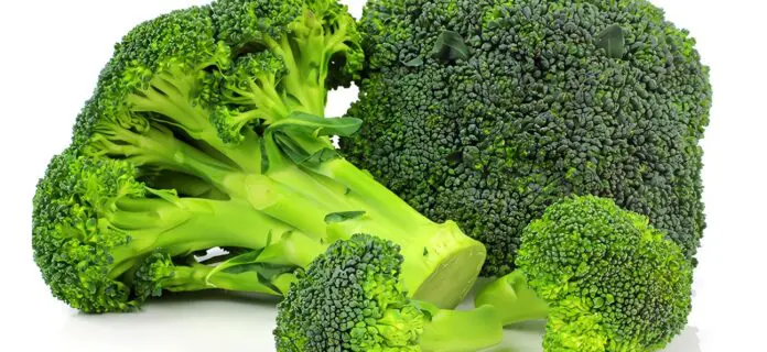 Cultivo de Brócoli