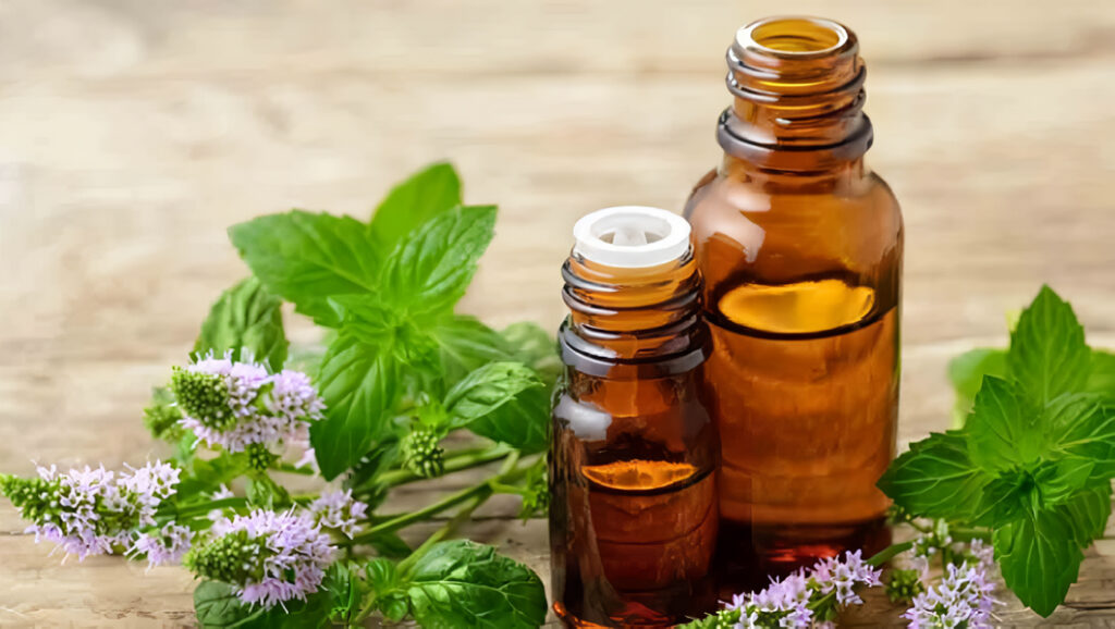 Efecto de la Aromaterapia con Aceite Esencial de Menta