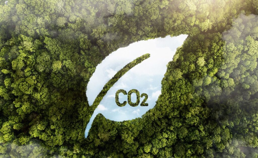 Economía Baja en Carbono