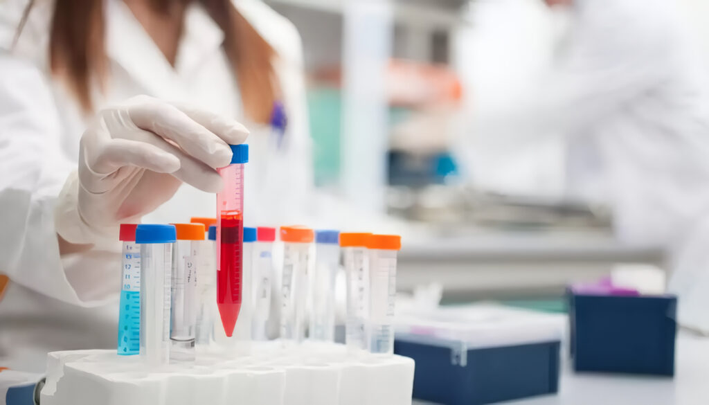 Estudios de Bioequivalencia