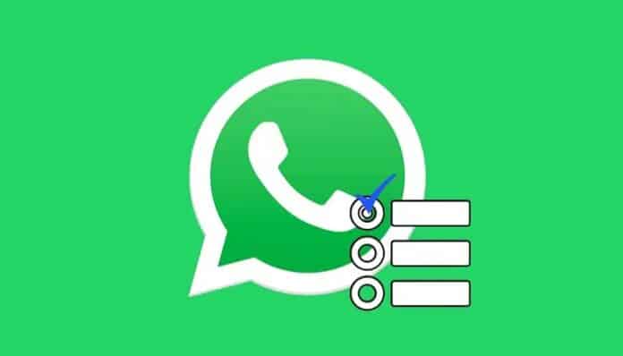 WhatsApp encuestas
