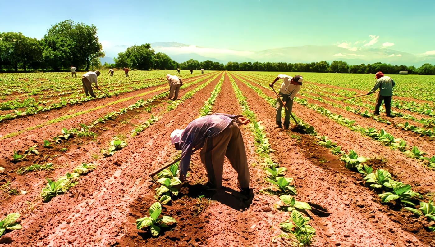 Economía Rural