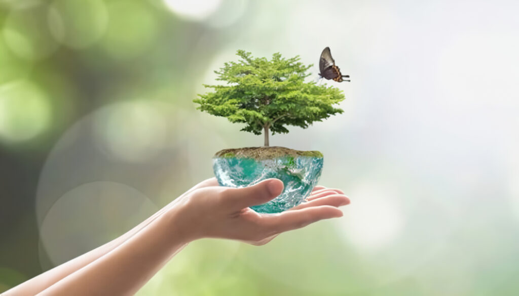 Qué es la Evaluación Ambiental