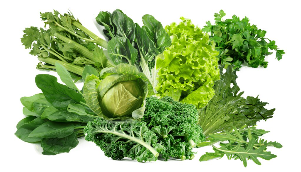 Verduras de Hoja Verde