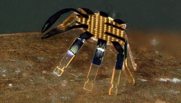Robot en forma de cancrejo capaz de entrar en el cuerpo humano