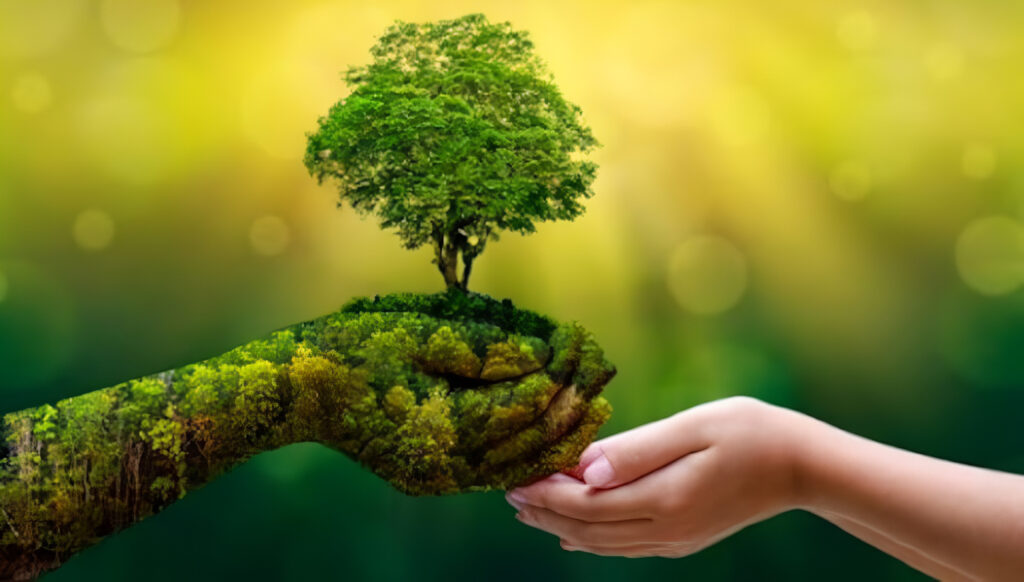 Educación Ambiental